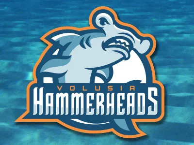 Hammerheads fantasy team hammerhead illustration illustrator logo minor league shark sports sports branding sports business sports logo