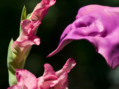 Jump! magic plants plasticine summer