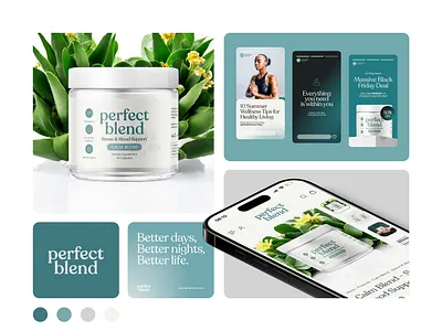 Perfect Blend - Supplement Branding Design branding design health jar label label design logodesigner medical packaging shopify supplement supplements website wellness