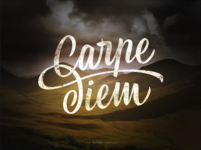 Carpe Diem calligraphy carpe diem handlettering letter lettering