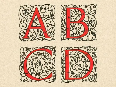 Training for TypeFight Live drawing english handlettering lettering sketch type typography