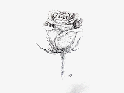 Love Flower black dot dots draw drawing flower handmade lot of dots love loving pointillism rose