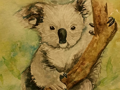 Koala art koala painting sketch watercolor