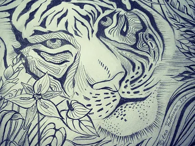 Tyger tyger hand drawn illustration pencil scarf sketch tiger