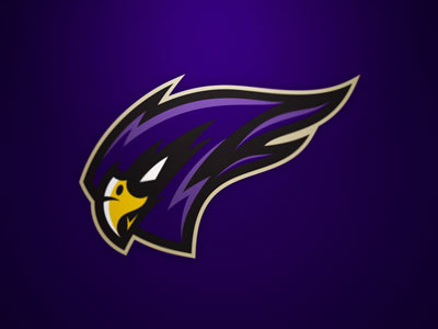 Milton Keynes Falcons falcons ice hockey mk falcons sports sports branding
