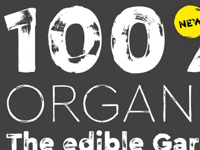 Cera Brush Shot #1 brush crafted font geometric handmade letter organic printed typeface