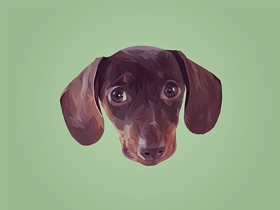 Sausage animal dog illustration low poly pet portrait sausage vector