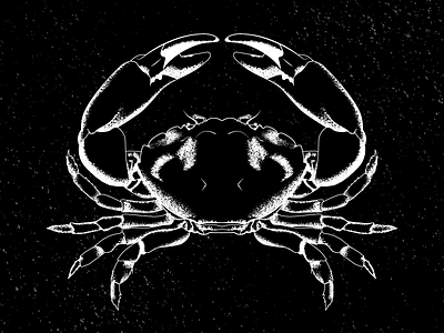 Spacecrab crab grain kingcrab space spacecrab