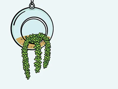 Donkey Tail Terrarium donkey hanging illustration plant succulent tail terrarium vector