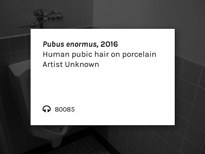 Art Plaque art bathroom museum plaque pube sticker stickermule toilet urinal