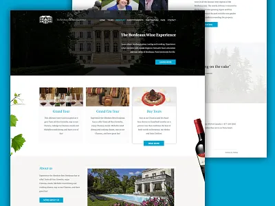 Website wine company bottle clean flat grapes webdesign website wine