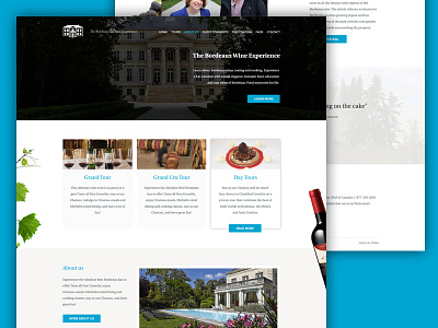 Website wine company bottle clean flat grapes webdesign website wine