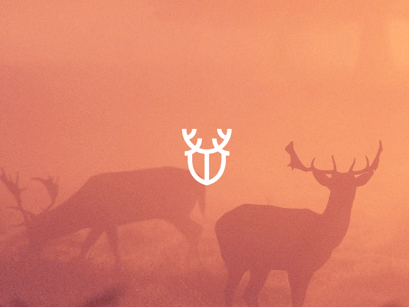 Wildi animals deer gif logo nature wild