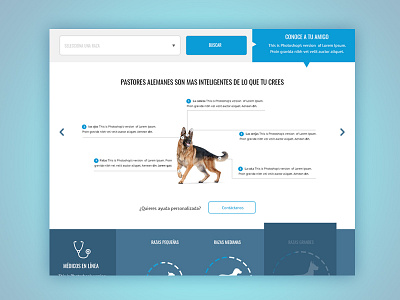 pet web pet ui ux web