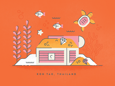 Koh Tao chest fish gold illustration money sea life star texture thailand travel turtle water