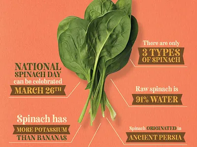 GEC - Taste of Harvest Infographic branding infographic logo spinach vegetable