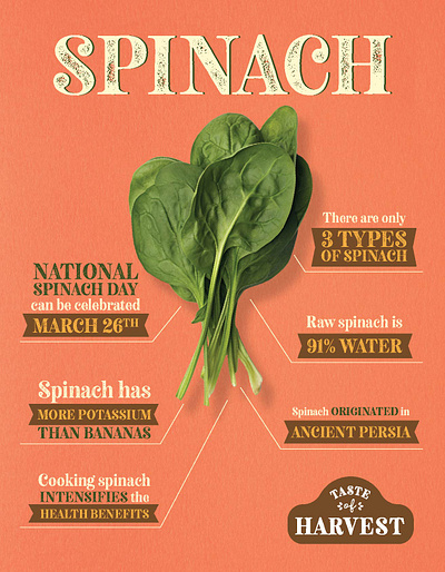 GEC - Taste of Harvest Infographic branding infographic logo spinach vegetable