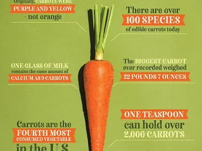 GEC - Taste of Harvest - Carrots branding carrots design infographic logo vegetable