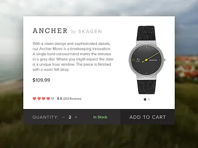 Clean Product Card! dailyui minimal product skagen ui watch