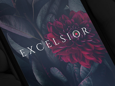 Excelsior Splash Screen app black dark deisgn ios iphone mobile red splash ui