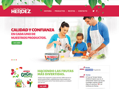 Sitio Herdez food herdez natural site