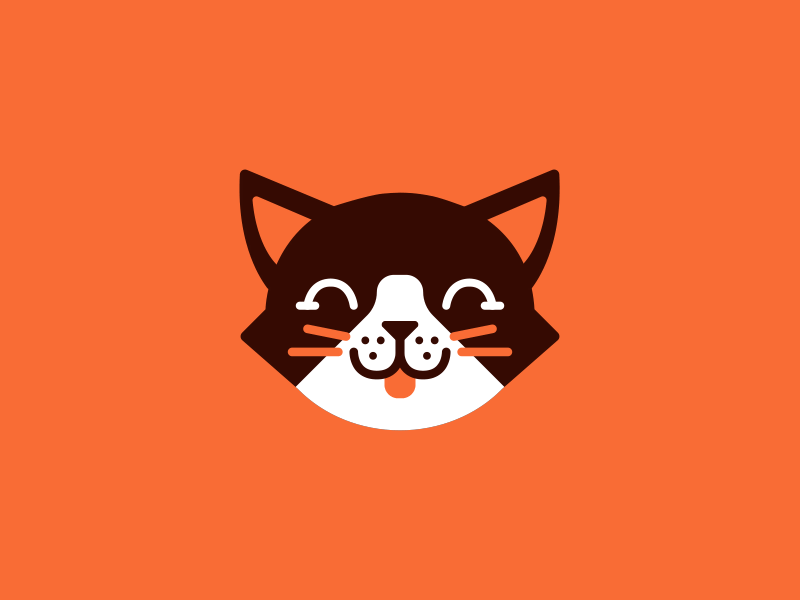 Cat animate v2 animal cat motion design motion graphics