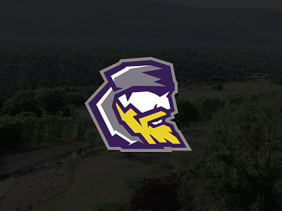 Mountaineers :: School Rebrand gray logo logo design mascot modern mountaineer mountains purple rebrand rebranding white yellow