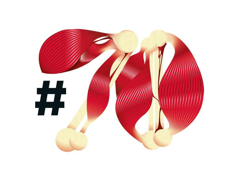 Numberatomy project for YOROKOBU #70 anatomy illustration lettering numbers vectorillustration yorokobu