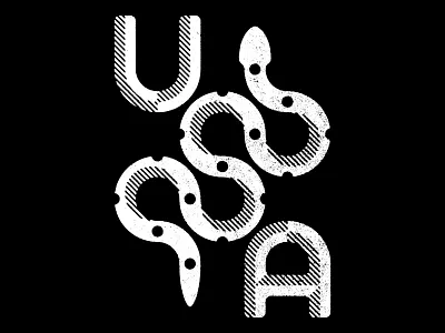USSSA logo snake type usa