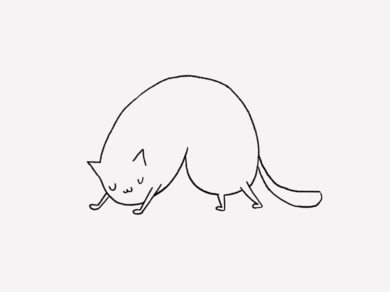 Yoga cat animation cat gif motion sport yoga