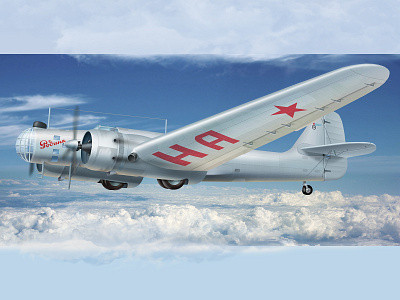 Illustration for the packaging of a model kits airplane