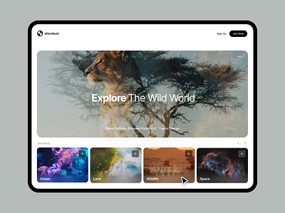 Wildlife Exploration UI Concept bold typography card based ui clean layout discover nature elegant design image overlay immersive experience interactive ui minimal ui modern aesthetic nature exploration ui ui design ui inspiration ux ux design visual storytelling web aesthetics web interface wild world