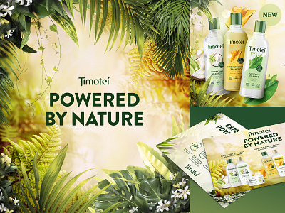 Timoteí - Shampoo Concept Look and Feel branding concept design graphic design hair hydrating shampoo key key visual pos purifying shampoo strengthening shampoo timoteí visual