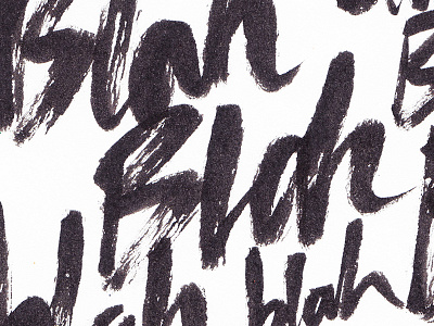 Politics blah brush brushpen hand lettering lettering politics