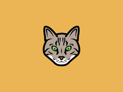 Cat cat illustration