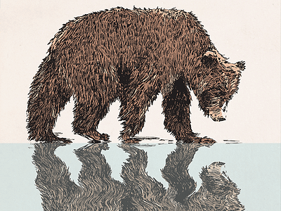 Reflect bear brush pen dailydrawing illustration nicholas nocera poster