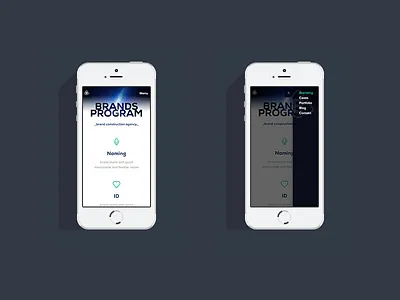 Brands Program - bits and pieces design iphone mobile responsive rwd web