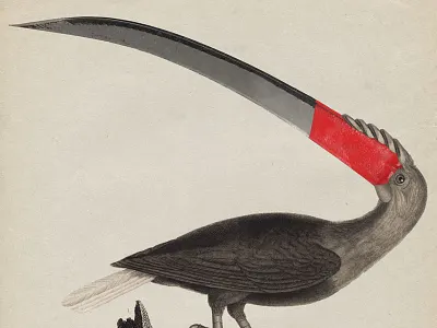 04 See2 bird blade collage strng vintage