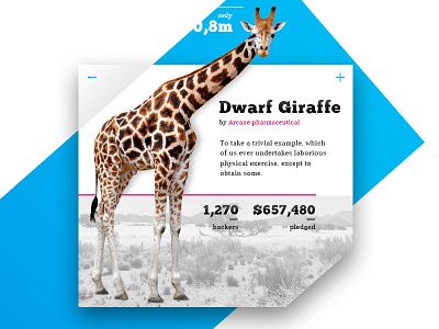 032 - Crowdfunding Campaign 032 32 campaign challenge crowdfunding dailyui day giraffe