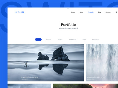 Switcher Theme clean mockup modern own psd switcher theme themeforest wordpress