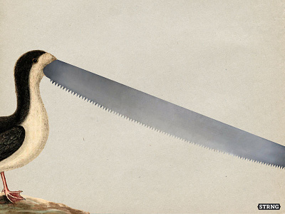 07 Saw bird blade collage saw strng vintage