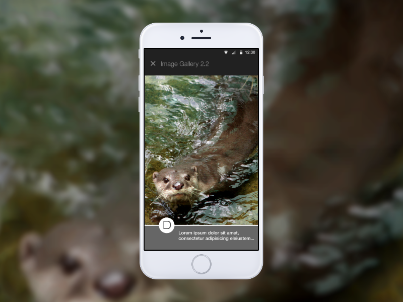 Otters! Sequential Gallery D made with invision mobile prototype ux wireframe