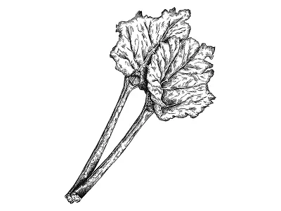 juice illustrations colourful dotwork fruits illustration juice linework