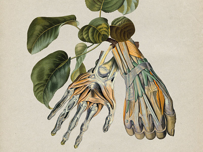 28 Grow7 botanical collage fruit hands strng vintage whale