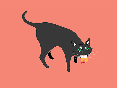 Edgar the Cat bar cat black cat cat food illustration pink shrimp