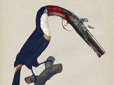 48 Shoot3 bird collage gun strng vintage