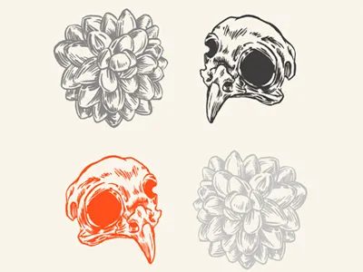 Bird skull pattern bird drawing flower illustration pattern plant skull