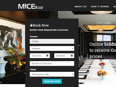Miceit branding graphic design illustration logo uiux