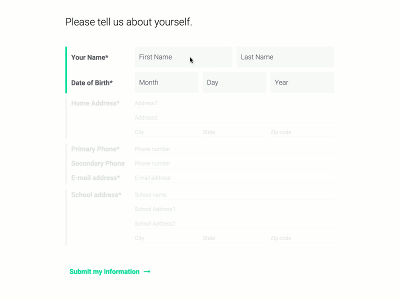 Form field css data form html information input interaction javascript submit