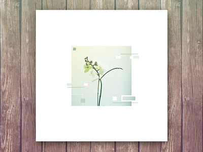 Arthur- embassy abstract album art flower music orchid wood